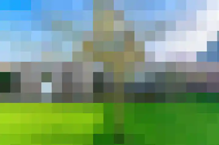 De Weech 39 Luxwoude thumbnail 37