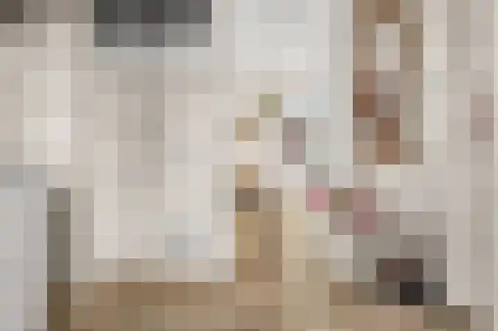 De Weech 39 Luxwoude thumbnail 8