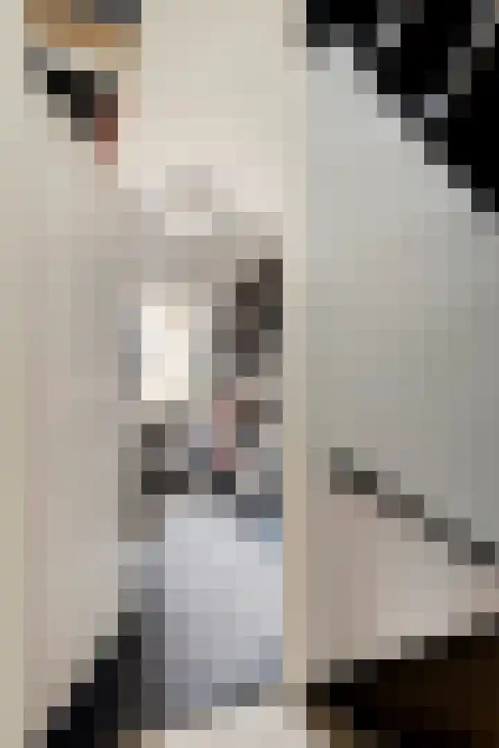 De Weech 9 Luxwoude thumbnail 12
