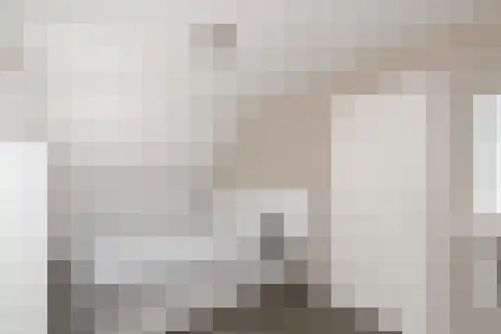 De Weech 9 Luxwoude thumbnail 20