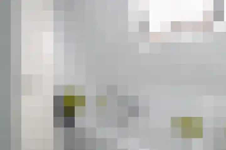 De Weech 9 Luxwoude thumbnail 24