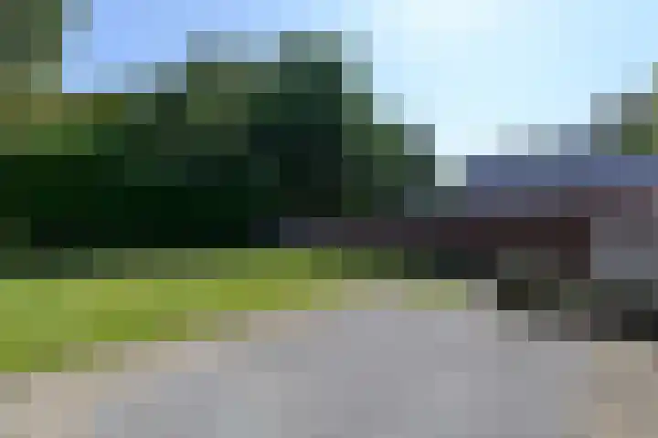 De Weech 9 Luxwoude thumbnail 27