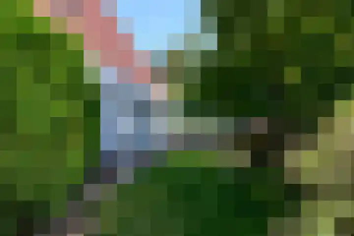 De Weech 9 Luxwoude thumbnail 34