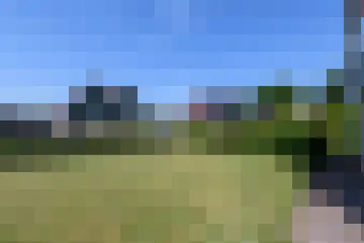 De Weech 9 Luxwoude thumbnail 36