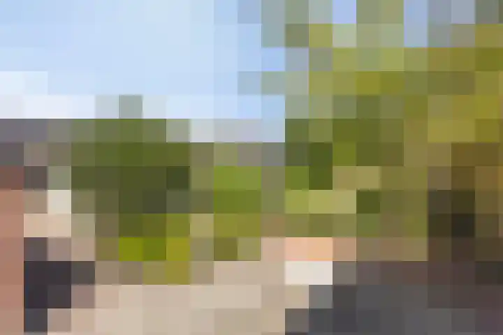 De Weed 72 Lutjebroek thumbnail 35