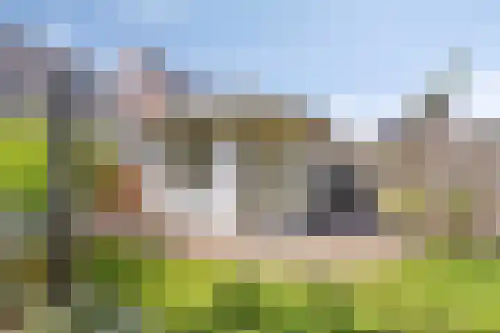 De Weed 72 Lutjebroek thumbnail 39