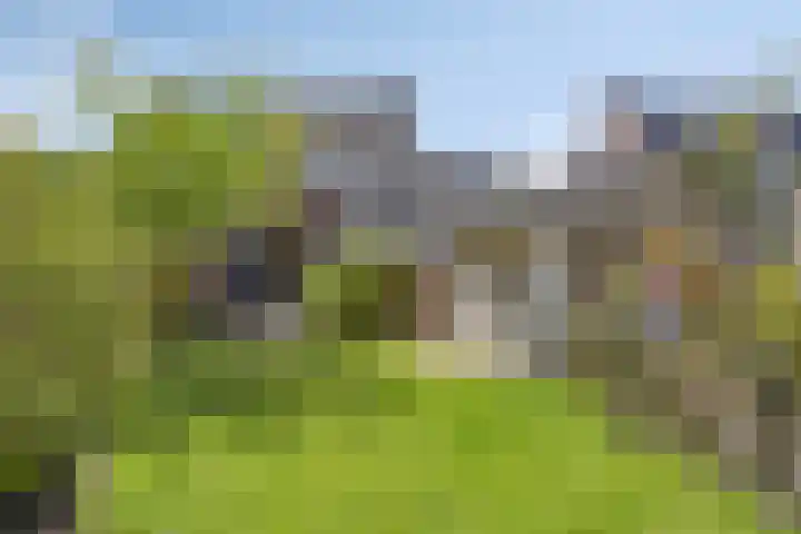 De Weed 72 Lutjebroek thumbnail 40