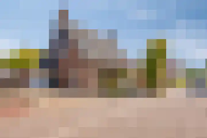 De Weed 72 Lutjebroek thumbnail 46