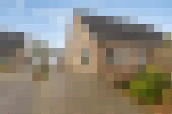 de Weegbree 38 dans Gieten