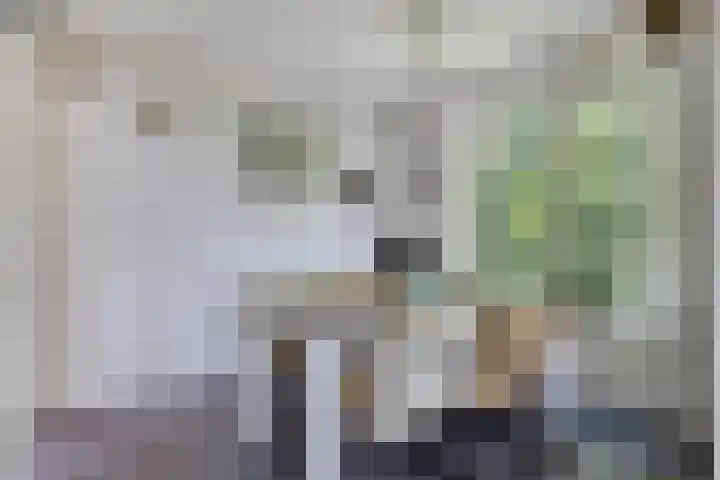 De Weel 22 Zijdewind thumbnail 13