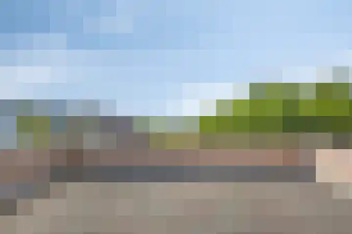 De Weel 22 Zijdewind thumbnail 21