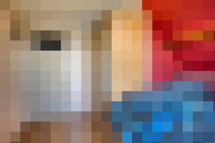 De Weel 22 Zijdewind thumbnail 28
