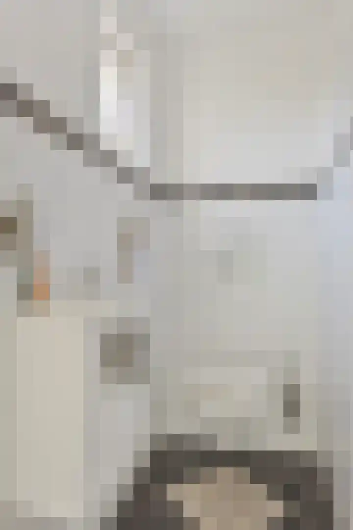 De Weel 22 Zijdewind thumbnail 30