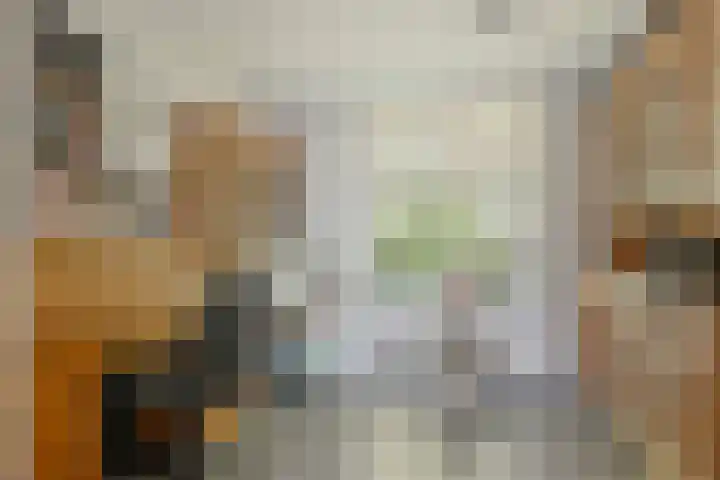 De Weel 22 Zijdewind thumbnail 32