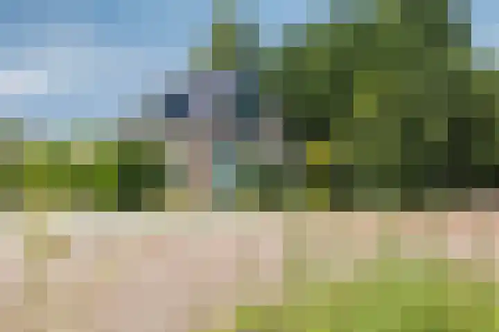 De Weel 22 Zijdewind thumbnail 4