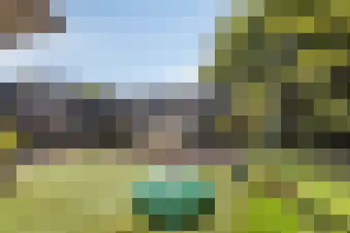 De Weel 22 Zijdewind thumbnail 42