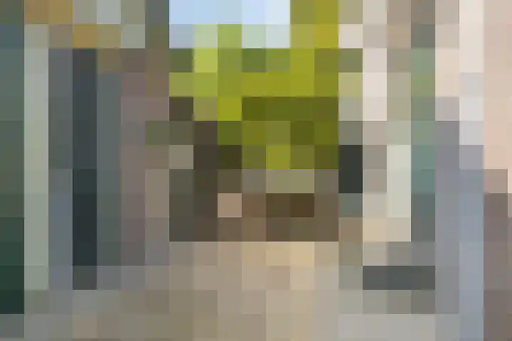 De Weel 22 Zijdewind thumbnail 44