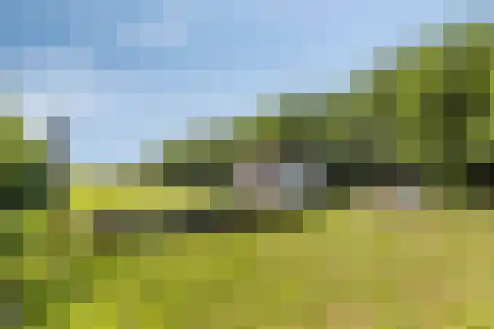 De Weel 22 Zijdewind thumbnail 47