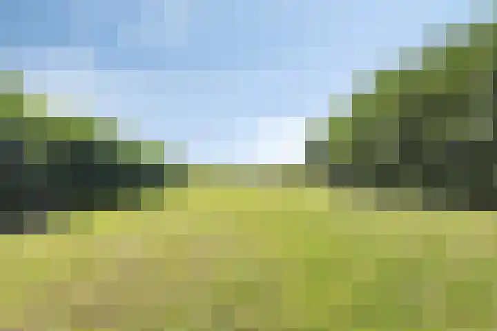 De Weel 22 Zijdewind thumbnail 49