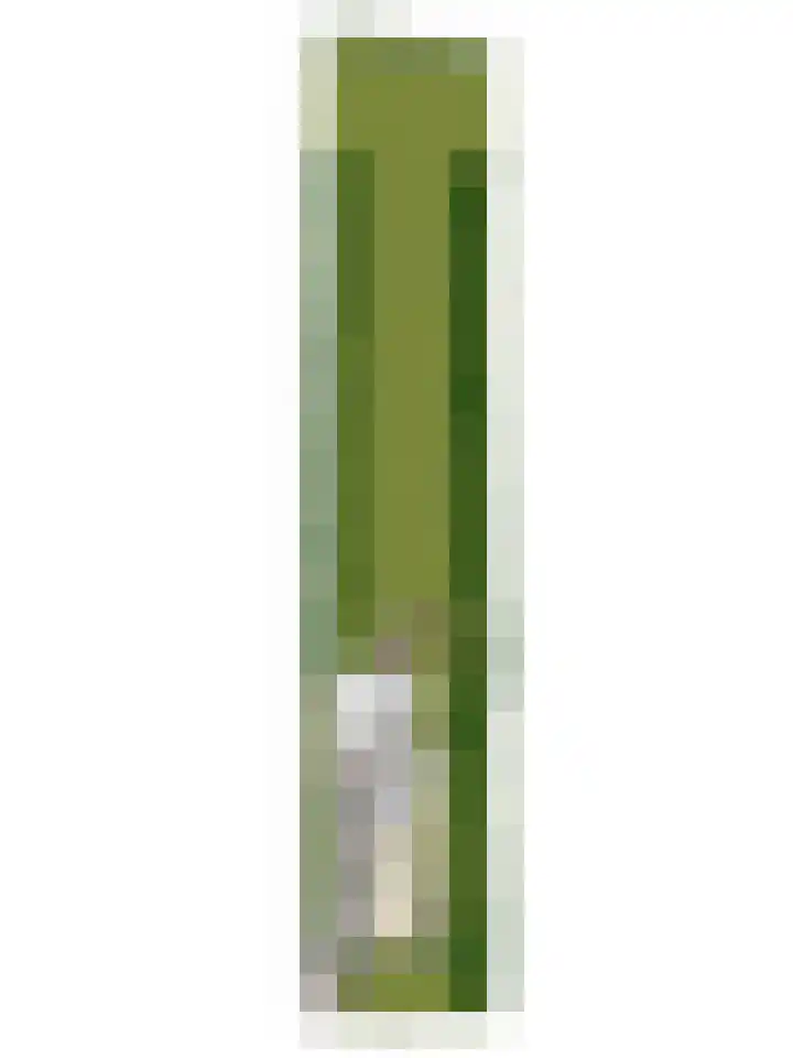 De Weel 22 Zijdewind thumbnail 50