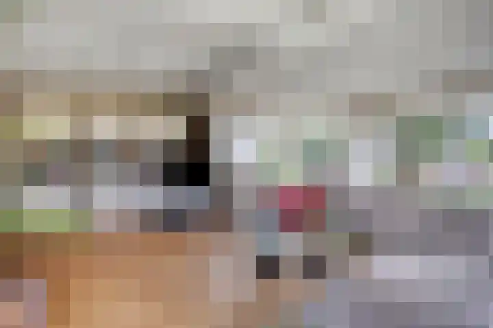 De Weel 97 Hippolytushoef thumbnail 18