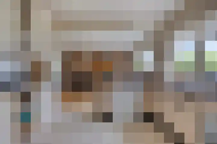 De Weel 97 Hippolytushoef thumbnail 22