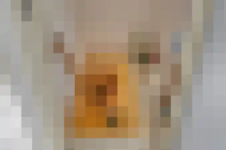 De Weel 97 Hippolytushoef thumbnail 31