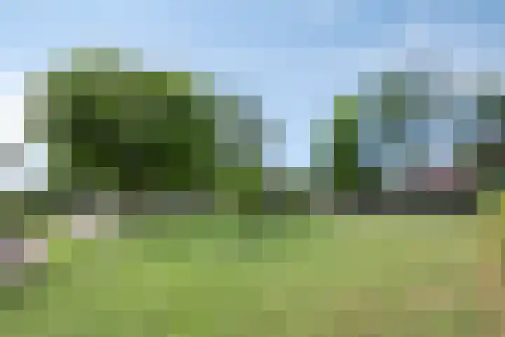 De Weel 97 Hippolytushoef thumbnail 38