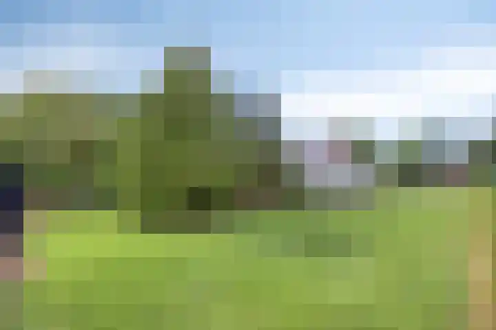 De Weel 97 Hippolytushoef thumbnail 41