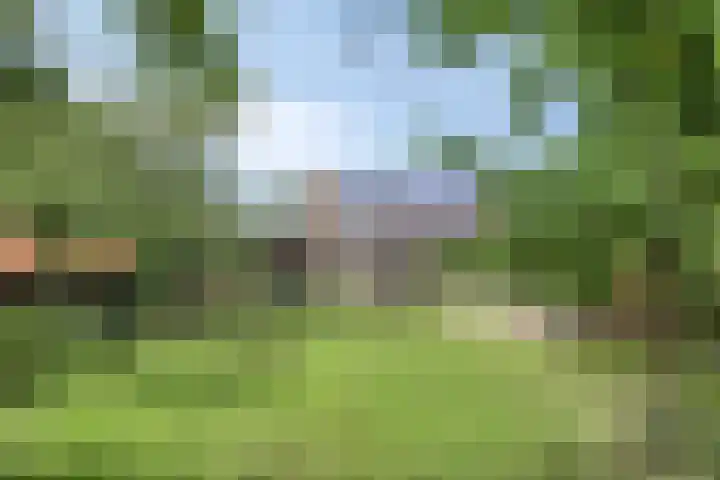 De Weel 97 Hippolytushoef thumbnail 42