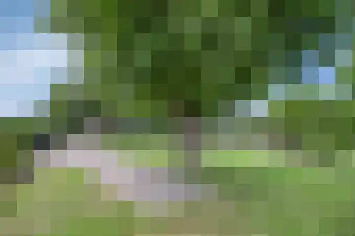 De Weel 97 Hippolytushoef thumbnail 44