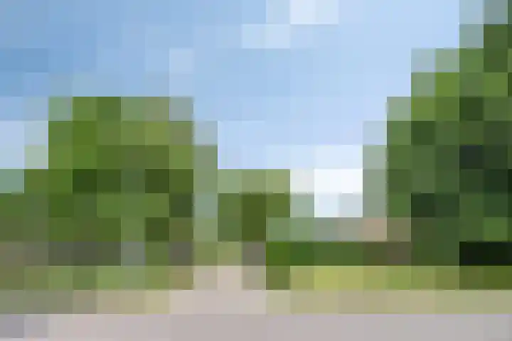 De Weel 97 Hippolytushoef thumbnail 6
