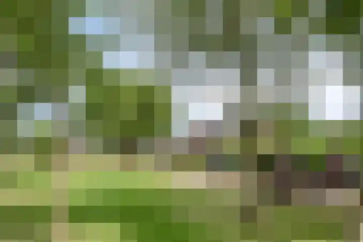 De Weel 97 Hippolytushoef thumbnail 8