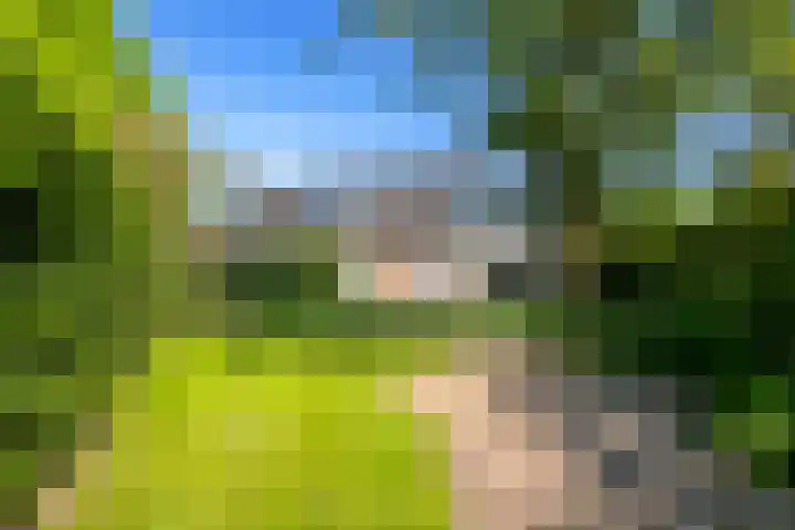 De Weem 2 Westervoort