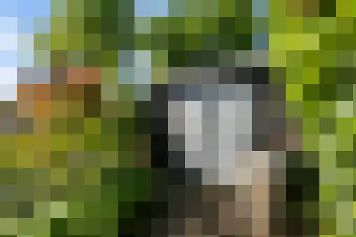 De Weem 2 Westervoort thumbnail 30