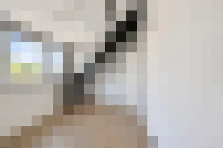 De Weem 2 Westervoort thumbnail 42