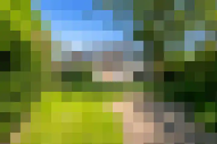 De Weem 2 Westervoort thumbnail 50
