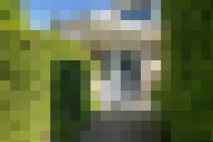 De Weem 2 Westervoort thumbnail 6