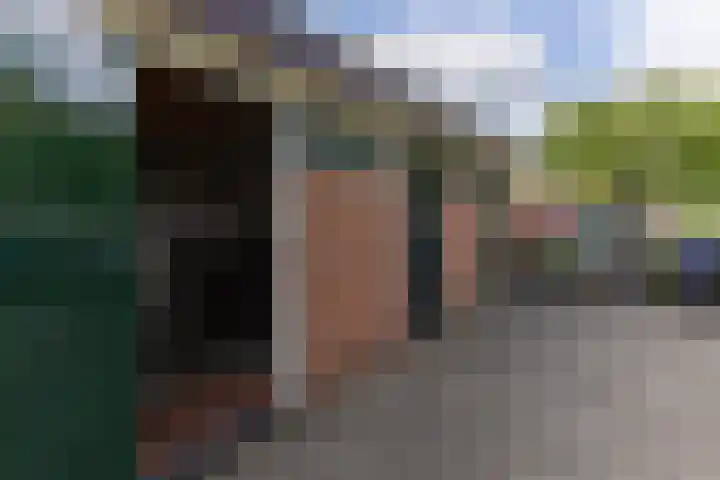 De Weer 4 Zaandam thumbnail 33