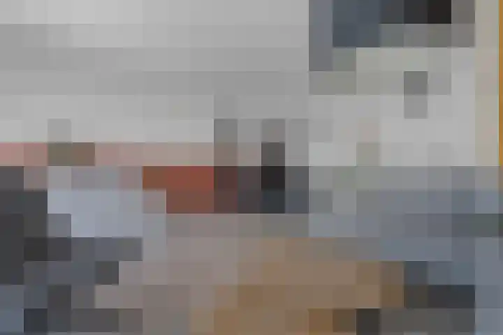 De Weerd 16 Hasselt thumbnail 15