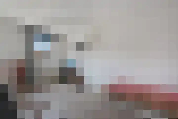 De Weerd 16 Hasselt thumbnail 26