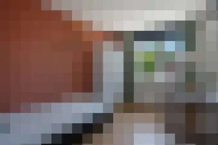 De Weerd 16 Hasselt thumbnail 28