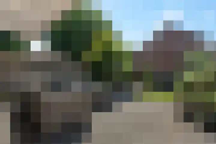 De Weerd 16 Hasselt thumbnail 35