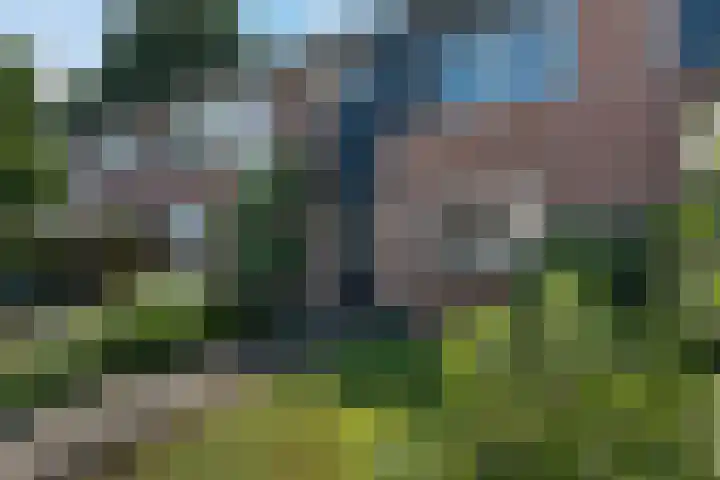 De Weerd 16 Hasselt thumbnail 4
