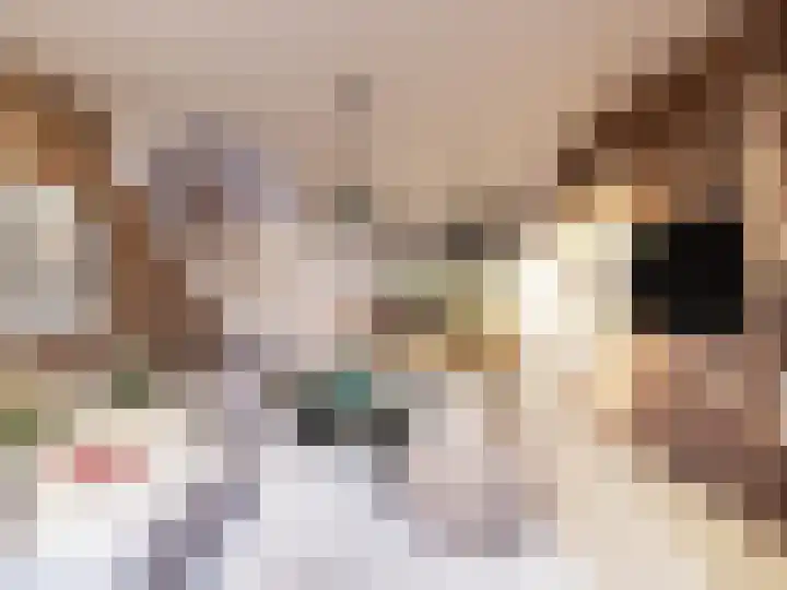 De Weermuur 3 Meteren thumbnail 4