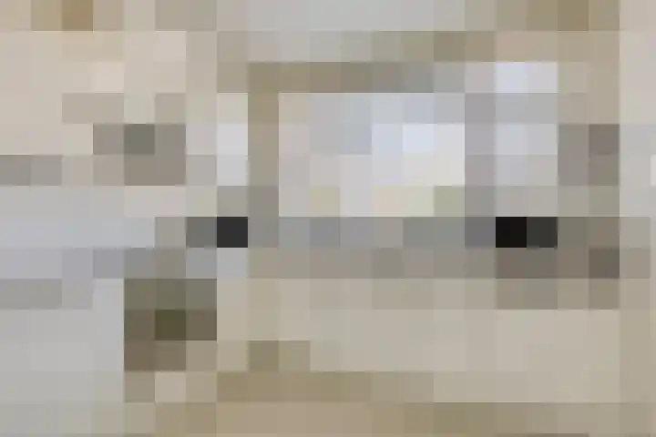 de Weertjes 1136 Wijchen thumbnail 14