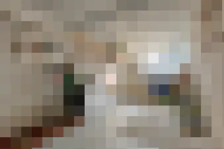 de Weertjes 1136 Wijchen thumbnail 28