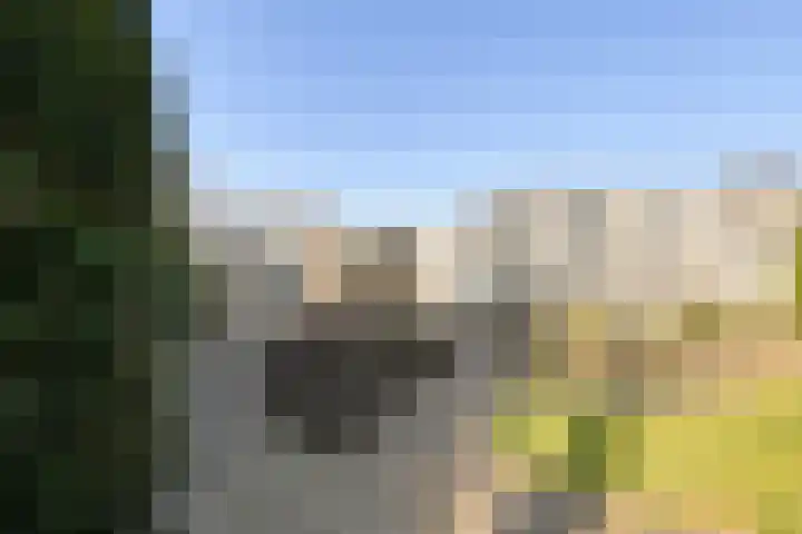 de Weertjes 1136 Wijchen thumbnail 29
