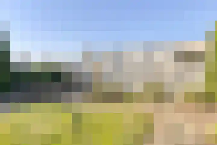 de Weertjes 1136 Wijchen thumbnail 33