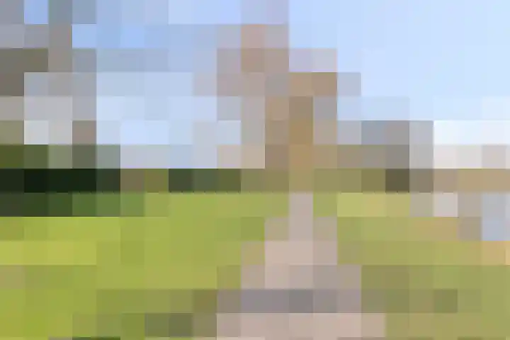 de Weertjes 1136 Wijchen thumbnail 35